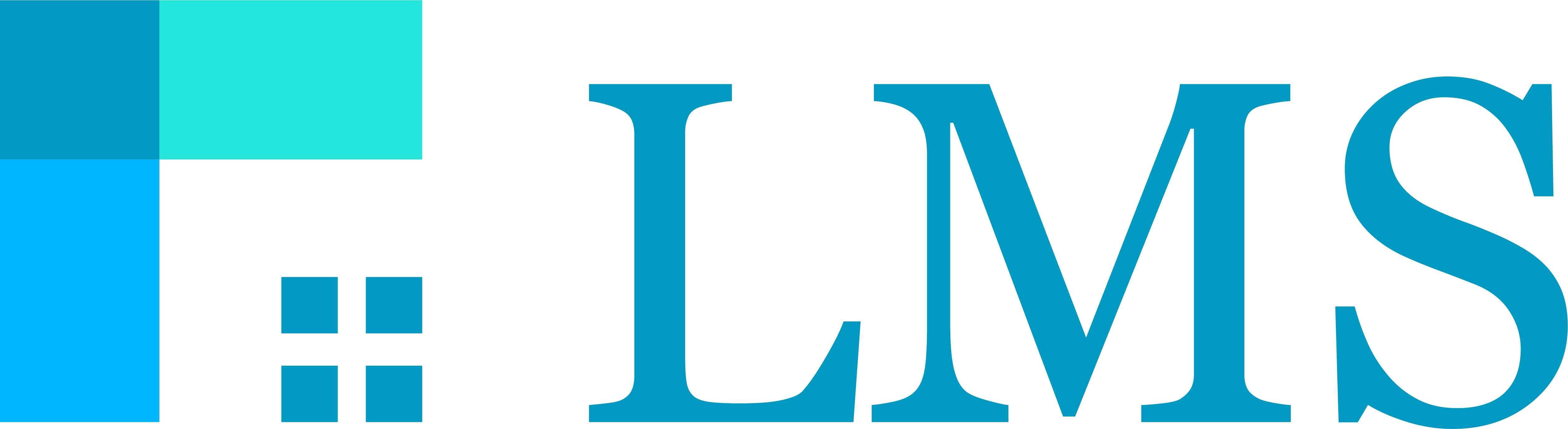 Loan Mitigation Services